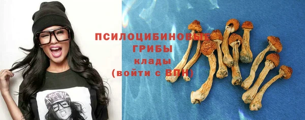 винт Алексеевка